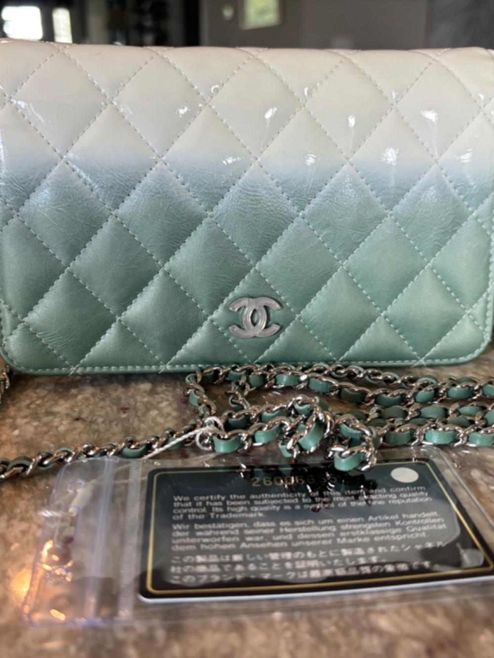 CHANEL Quilted Ombre Wallet On Chain Silver toned HW - Picture 10 of 16